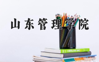 2025年山东管理学院在河南计划招生人数（附学费及专业录取分)