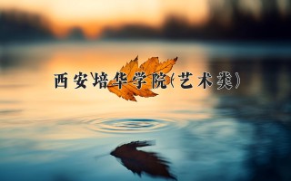 2024年西安培华学院(艺术类)录取分数线，河北最低450分