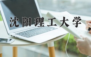 2025年沈阳理工大学在河南计划招生人数（附学费及专业录取分)