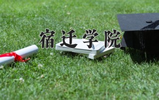 2025年宿迁学院在河南计划招生人数（附学费及专业录取分)