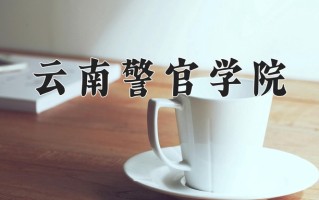 2025年云南警官学院在四川计划招生人数（附学费及专业录取分)