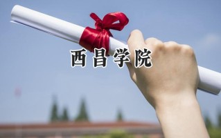 西昌学院2024在山东录取分数线是多少？最低462分/最高515分