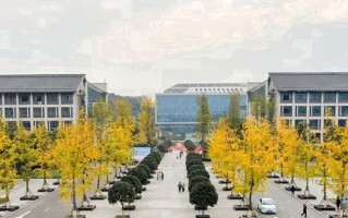 2024年重庆工程职业技术学院录取分数线，河北最低420分