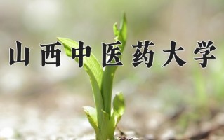 2025年山西中医药大学在河南计划招生人数（附学费及专业录取分)