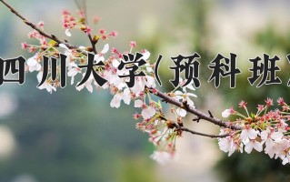2025年四川大学(预科班)在重庆计划招生人数（附学费及专业录取分)