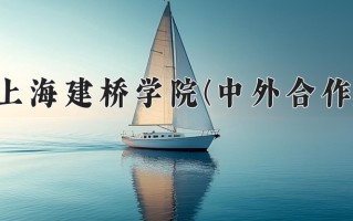 2025年上海建桥学院(中外合作)在重庆计划招生人数（附学费及专业录取分)