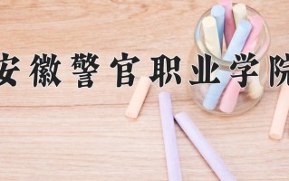 2025年安徽警官职业学院在河南计划招生人数（附学费及专业录取分)