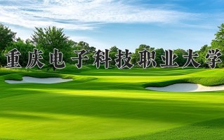 2025年重庆电子科技职业大学在河南计划招生人数（附学费及专业录取分)
