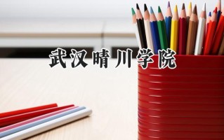 2024武汉晴川学院录取分数线：天津最低477分