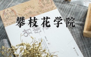 2025年攀枝花学院在新疆计划招生人数（附学费及专业录取分)