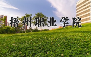 2025年梧州职业学院在四川计划招生人数（附学费及专业录取分)