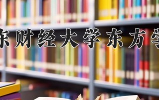 2025年山东财经大学东方学院在新疆计划招生人数（附学费及专业录取分)
