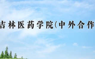 2025年吉林医药学院(中外合作)在重庆计划招生人数（附学费及专业录取分)