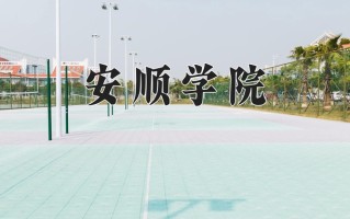 安顺学院王牌专业有哪些？附2025最新王牌专业排名一览表