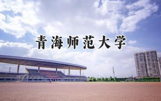 2024青海师范大学录取分数线：天津最低497分